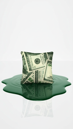 Coussin décoratif Money Basic